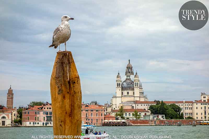 Venetië. Foto's en vakantietips