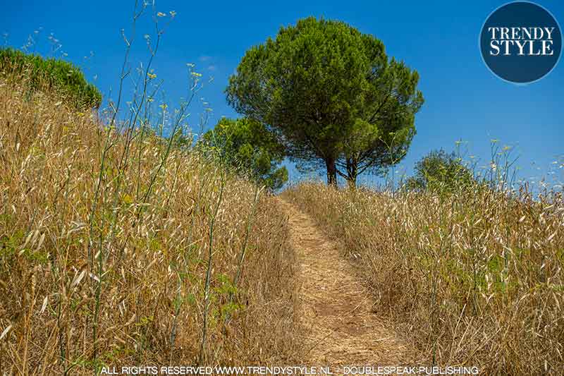 Vicopisano, Toscane