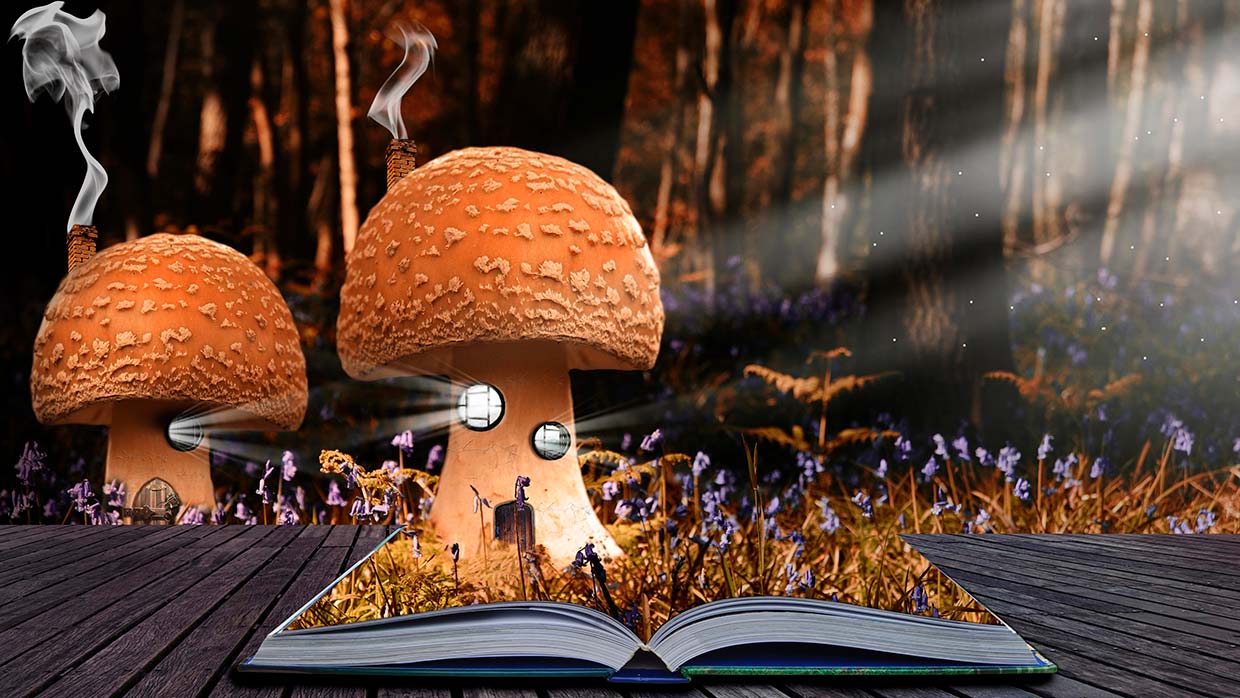 Maandhoroscoop voor november 2025