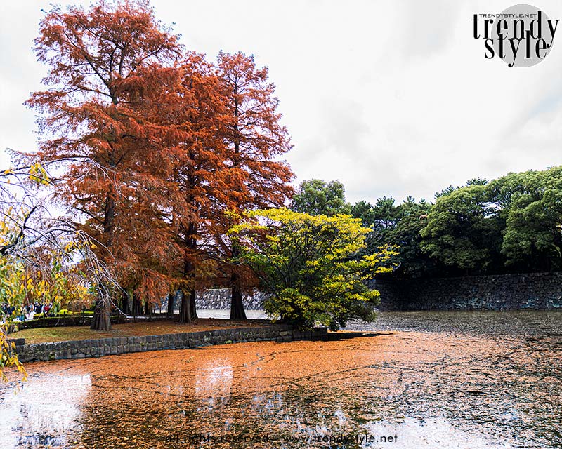 De gracht van het Keizerlijk Paleis complex. Foto Charlotte Mesman