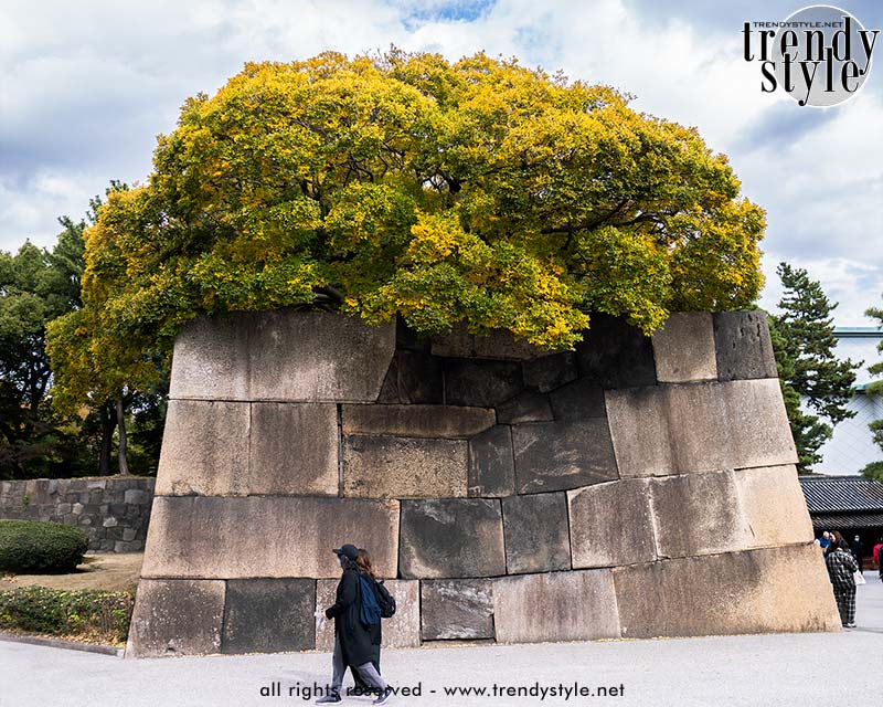 Schitterende herfstkleuren in de Oostelijke Tuinen van het Keizerlijk Paleis in Tokio. Foto Charlotte Mesman