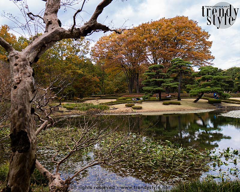 De Ninomaru-tuin. Foto Charlotte Mesman