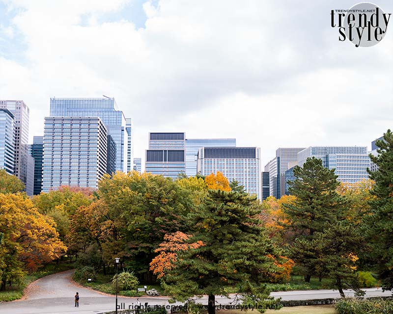 Uitzicht op het Marunouchi-district. Foto Charlotte Mesman