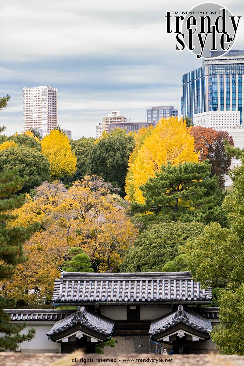 Uitzicht vanaf de Tenshudai, eens een gigantische kasteeltoren, met daaronder de Kitahanebashimon Gate. Foto Charlotte Mesman