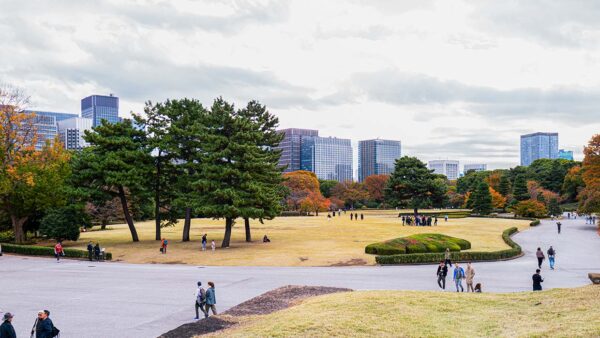 Schitterende herfstkleuren in de Oostelijke Tuinen van het Keizerlijk Paleis in Tokio. Foto Charlotte Mesman