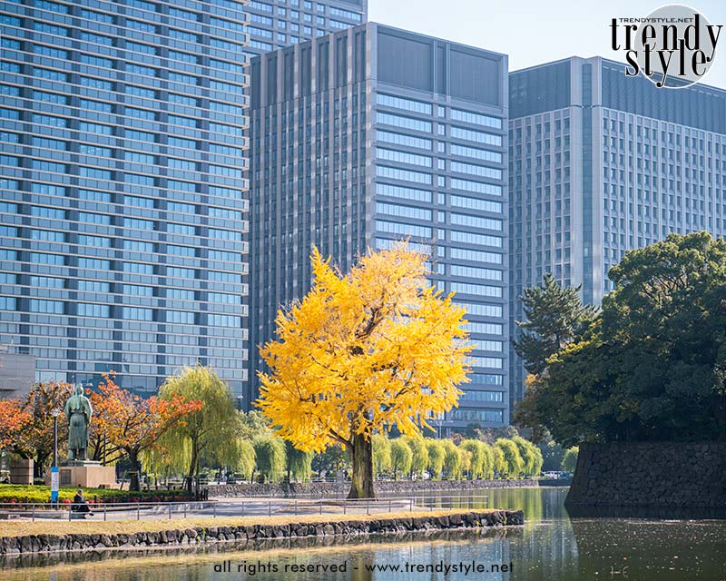 De oostkant van het Paleis-complex. Foto Charlotte Mesman