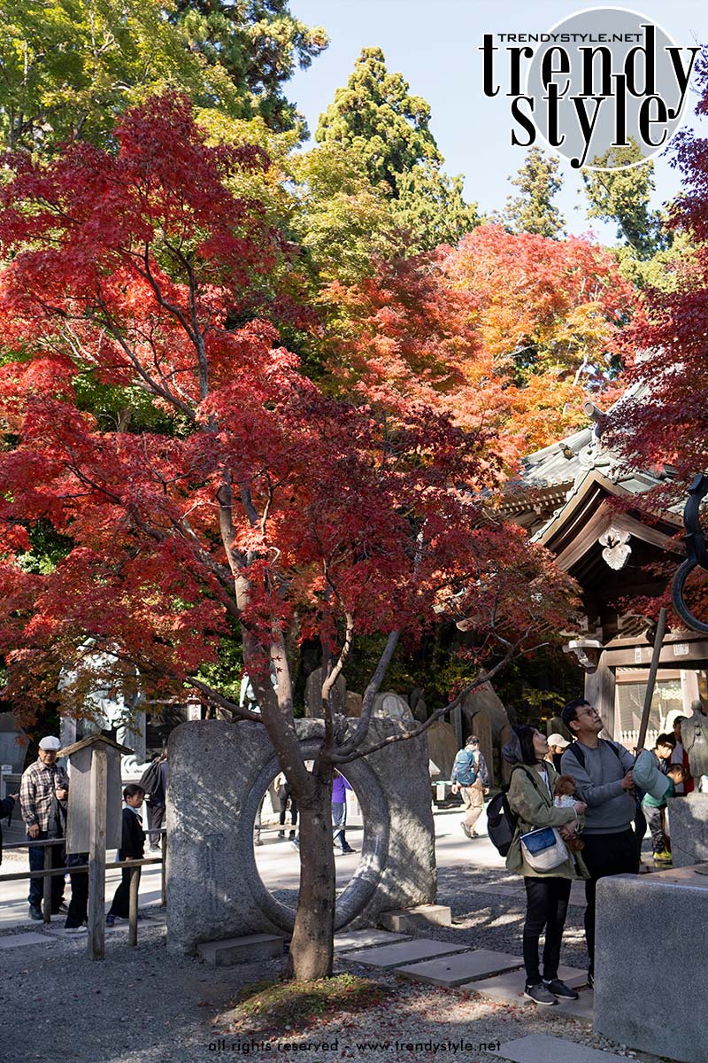 Mount Takao. Takaosan Yakuoin tempel. Foto Charlotte Mesman