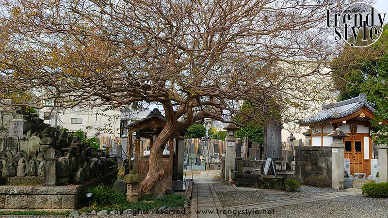 Kōtokuji-tempel, Aoyama. Foto: Charlotte Mesman
