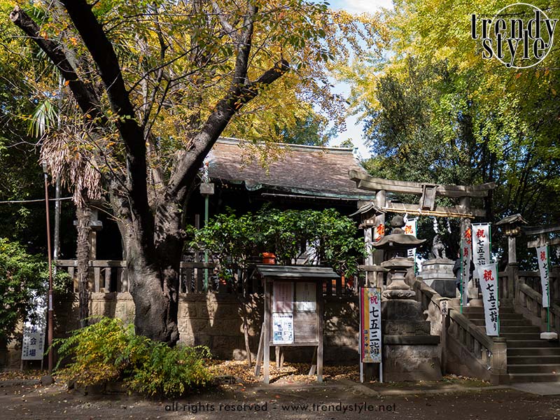 Yanaka, parel in Tokio. Tempels, houten huizen, smalle steegjes en beeldhouwwerken. Foto Charlotte Mesman