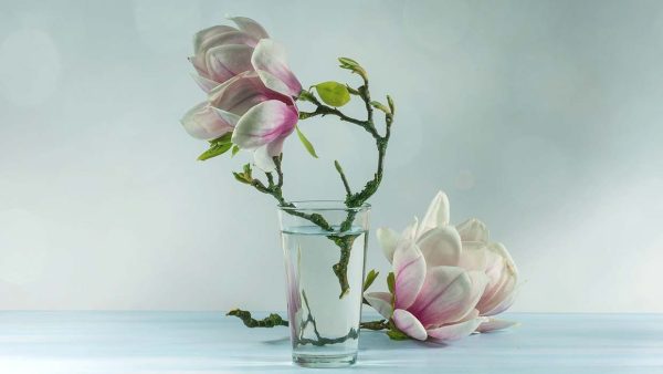 Jouw weekhoroscoop voor 12 tot 19 april 2026