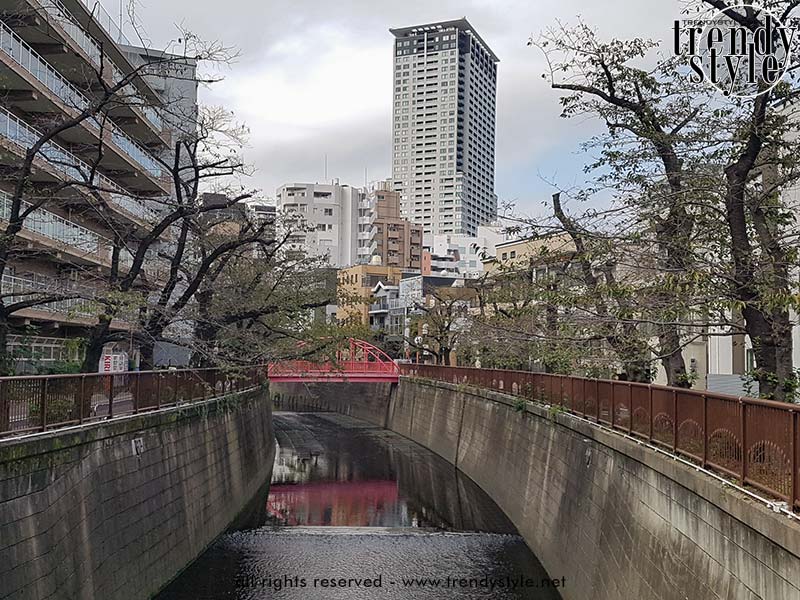 De Meguro-rivier in november. Foto Charlotte Mesman
