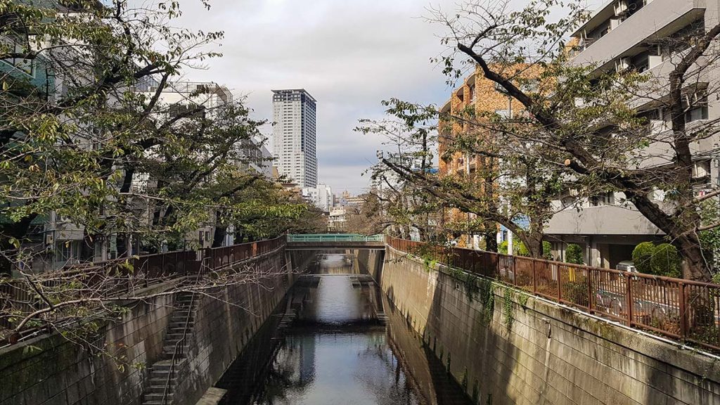 Meguro-rivier in Tokio tijdens de herfst, met kersenbomen langs het water, wandelpaden aan weerszijden en een rustige stedelijke sfeer. Foto Charlotte Mesman