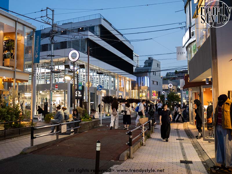 Cat Street in Tokio, een autoluwe straat tussen Shibuya en Harajuku met streetwearwinkels, cafés, vintage boutiques en wandelaars in een ontspannen, creatieve stedelijke sfeer. Foto Charlotte Mesman
