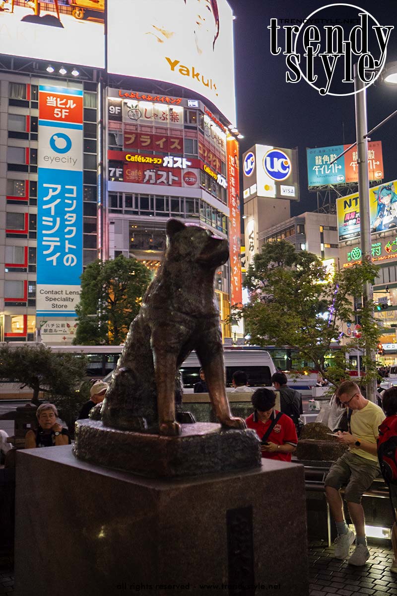 Standbeeld van Hachikō bij Shibuya Station in Tokio, omringd door toeristen die in de rij staan om foto’s te maken met de beroemde Akita-hond. Foto Charlotte Mesman