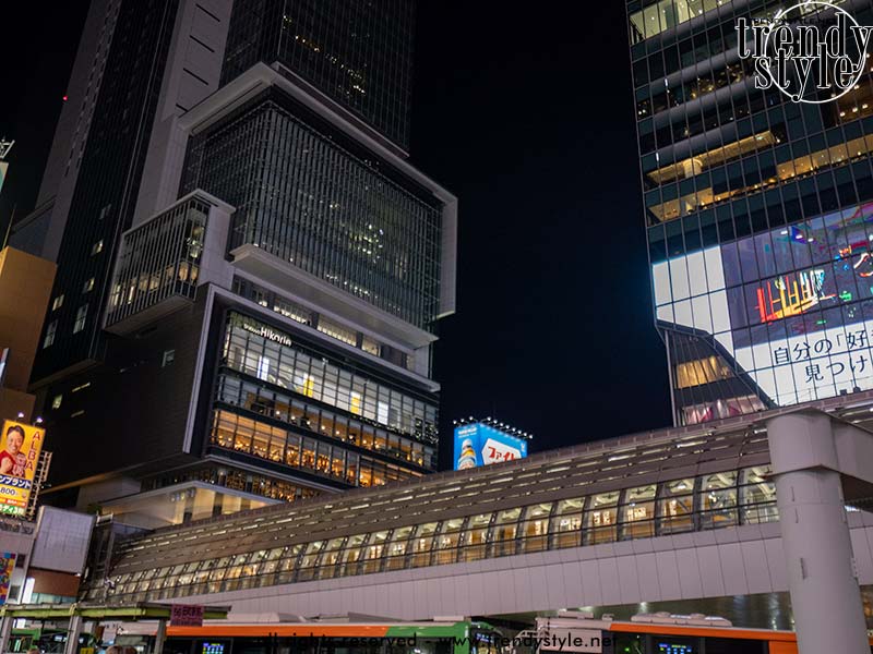 Het beginpunt van de Ginza-lijn van het Shibuya station (die ik vaak neem). Foto Charlotte Mesman