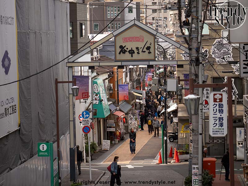 Stenen trappen in Yanaka, een rustige en traditionele wijk in Tokio, Japan met oude straatjes en tempels. Foto Charlotte Mesman