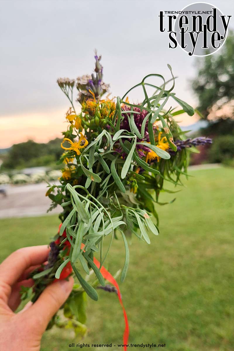 Mijn 'mazzo di San Giovanni' met Sint-janskruid, bijvoet, lavendel, salie, wijnruit, knoflook en duizendblad. Foto Charlotte Mesman