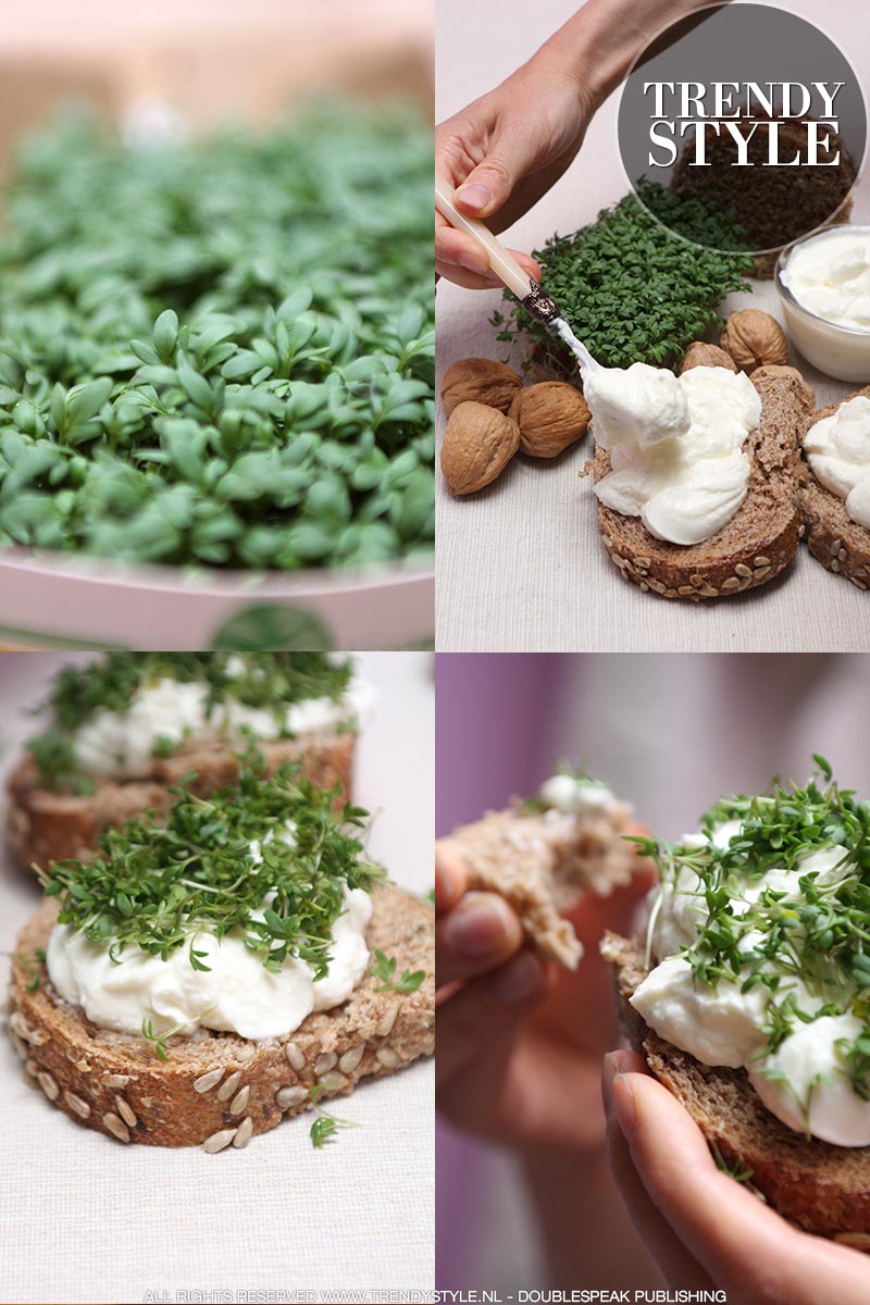 Bio-brood, kwark en tuinkers voor een oergezonde lunch