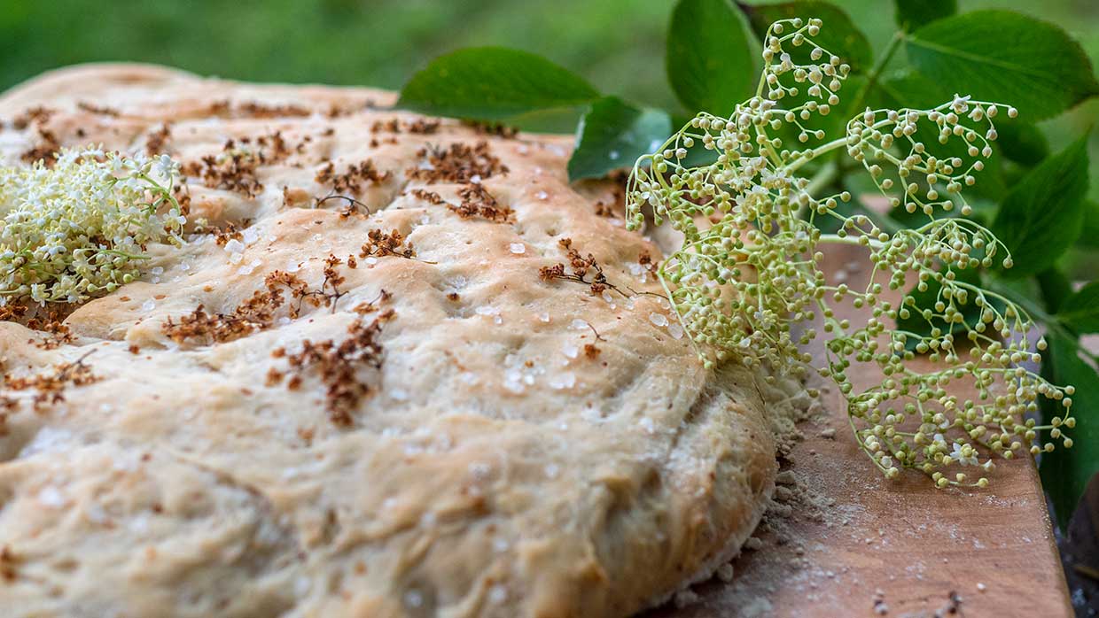 Lenterecept. Focaccia met vlierbloesem