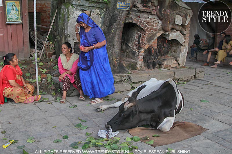Reis naar Kathmandu, Nepal. Durbar Square