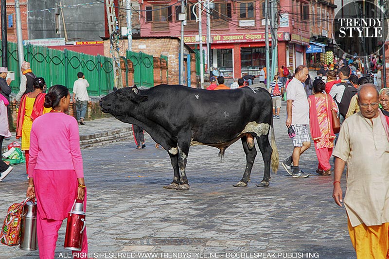 Kathmandu, Nepal. Pashupatinath Tempel
