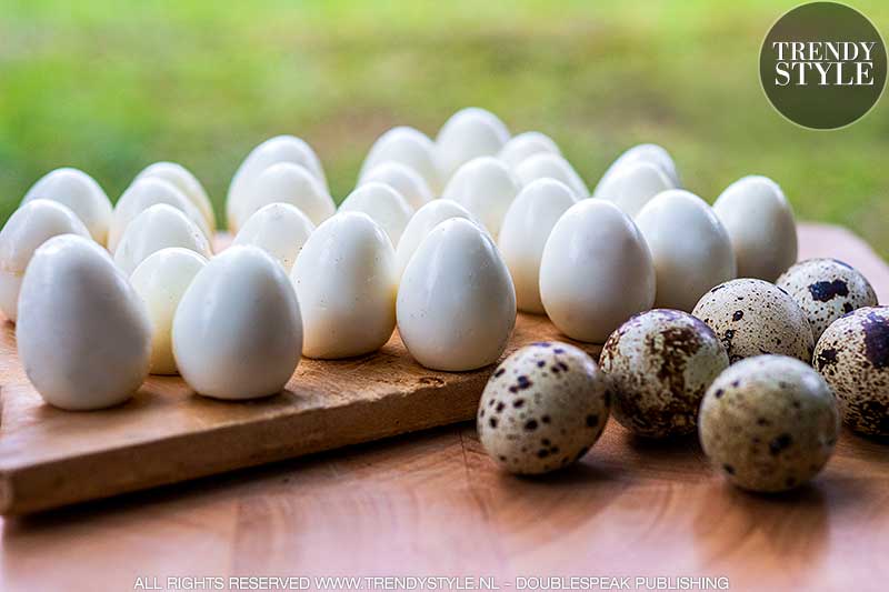 Kwarteleitjes. Schattig fingerfood