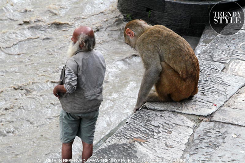 Makaken (apen) in de Pashupatinath Tempel in Kathmandu, Nepal