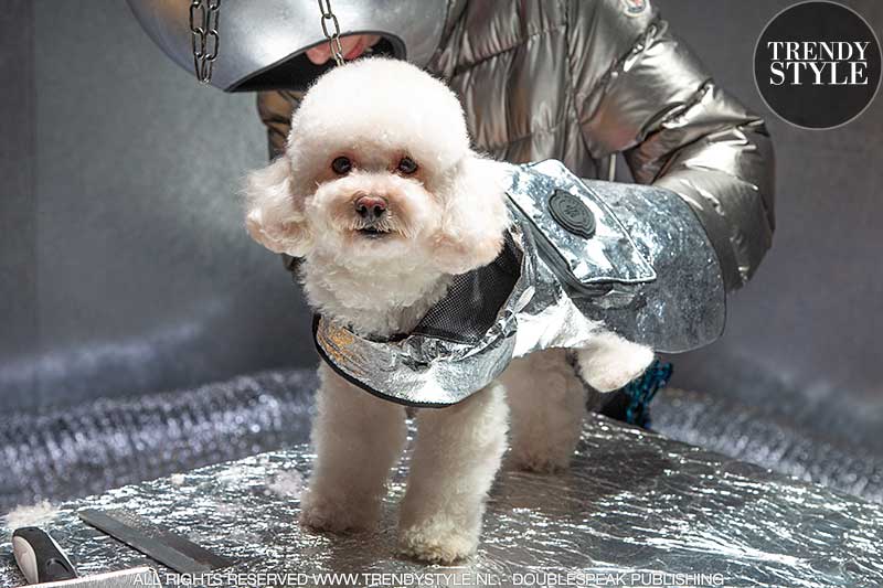 Modetrends 2021. Moncler Poldo Dog Couture