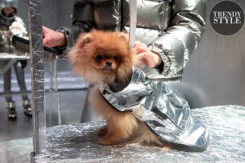 Modetrends 2021. Moncler Poldo Dog Couture