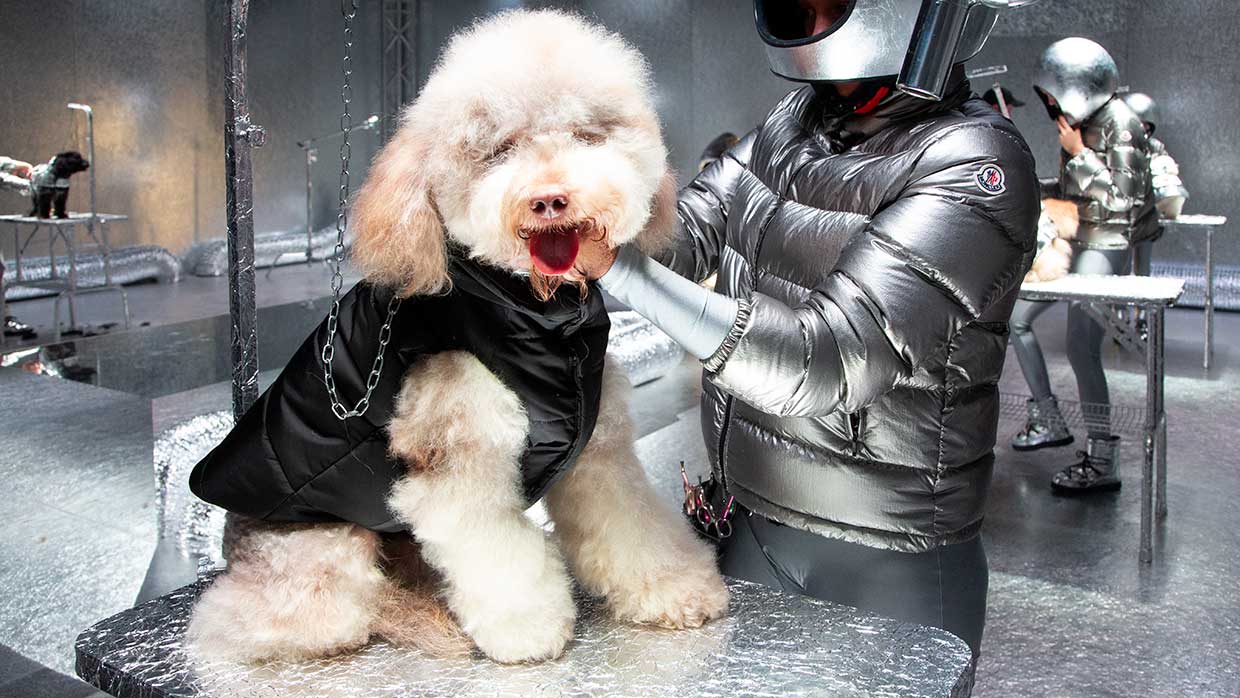 Modetrends 2021. Moncler Poldo Dog Couture