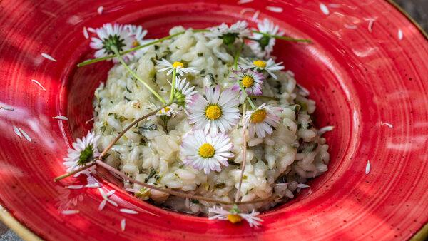 Risotto met madeliefjes. Foto: Charlotte Mesman