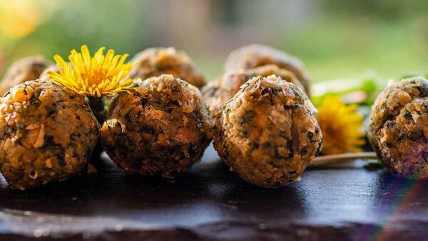 Koken. Vegetarische balletjes van paardenbloemblad en kikkererwten