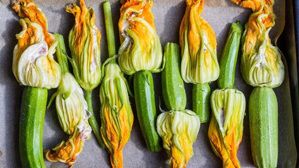 Courgette risotto en courgette soep